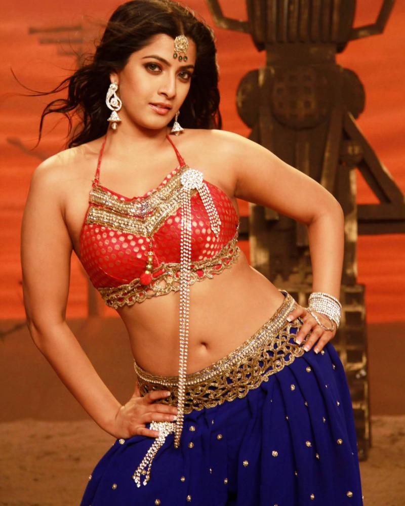 glittering-look-of-varalaxmi-sarathkumar-from-madhagajaraja